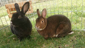 Xara & Yoro in het zonnetje