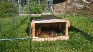 Lekker luieren in het gras