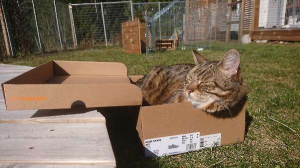 Maat 44, past precies