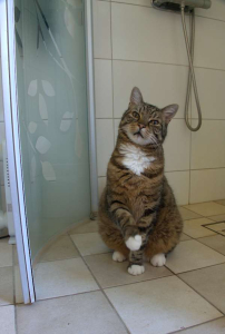 Mika onder de douche