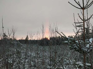 Light pillar
