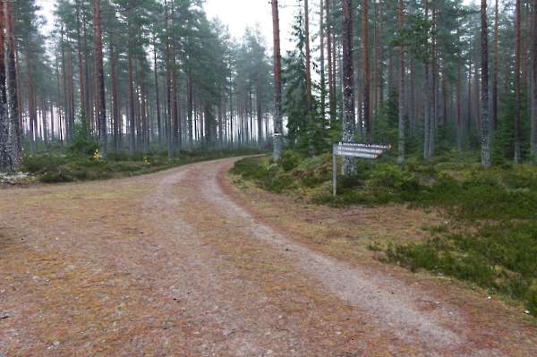 Fjällmossen Gammeltallstigen