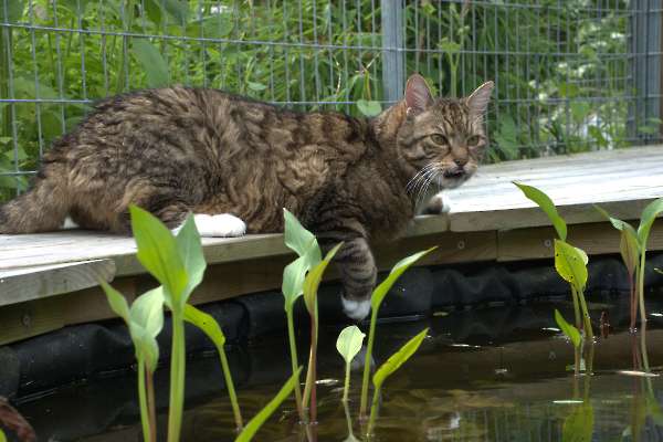 Aan het water
