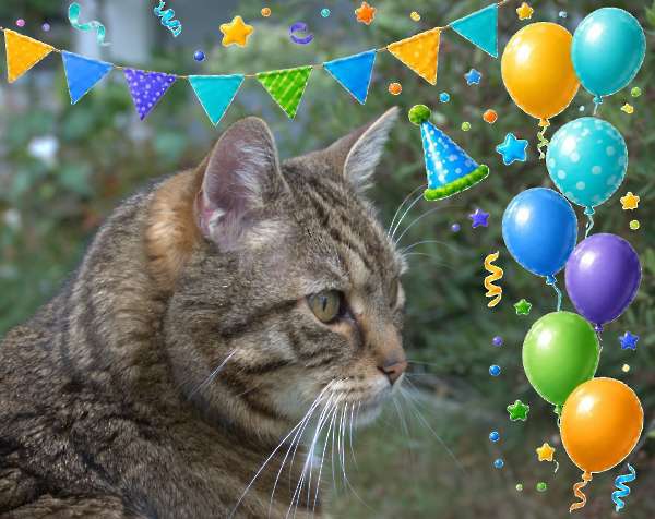 Mika 14 jaar!