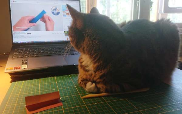 Mika en de origamikat