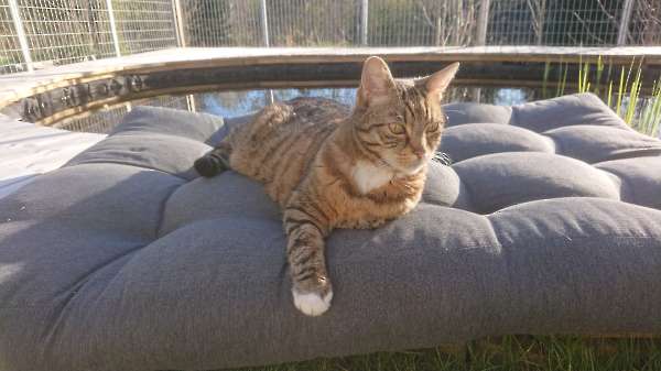 Was dit jouw kussen?