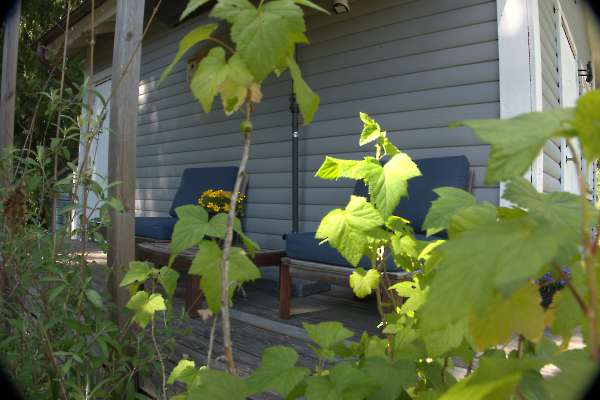 Cottage by summer