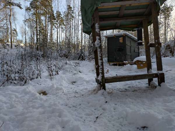 Photo hide by winter