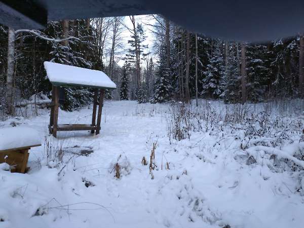 Photo hide by winter